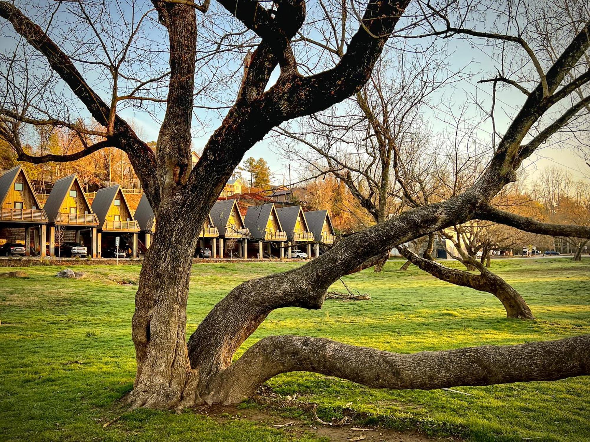 Wrong Way River Lodge & Cabins Asheville Exterior foto